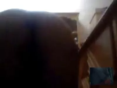 Brunette hottie wordt op z'n hondjes geneukt heerlijke sex filmpjes terwijl ze speeltje in haar kont draagt