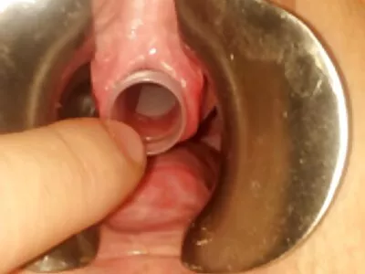Vijf meiden hebben veel plezier en sexfilmpjes nl vingeren